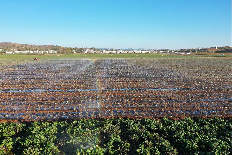 1637631740242068723.jpg 微信图片_20211123094148.jpg