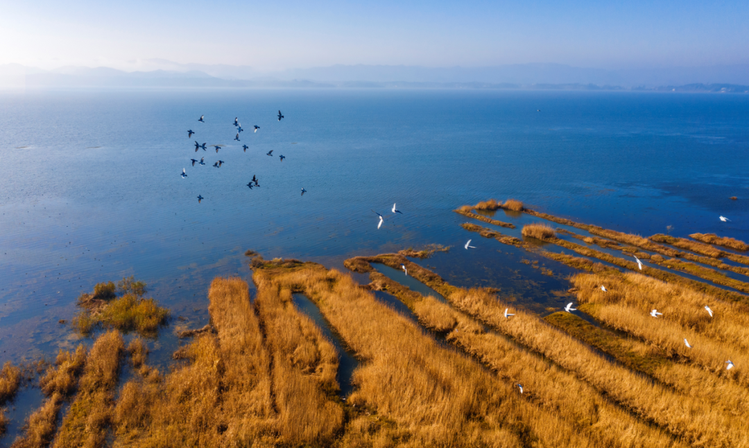 1637631806996051969.png 微信图片_20211123094314.png